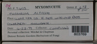 Image Associated With the Occurence
